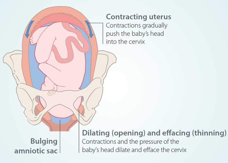 Being In Labor Healthy Parents Healthy Children