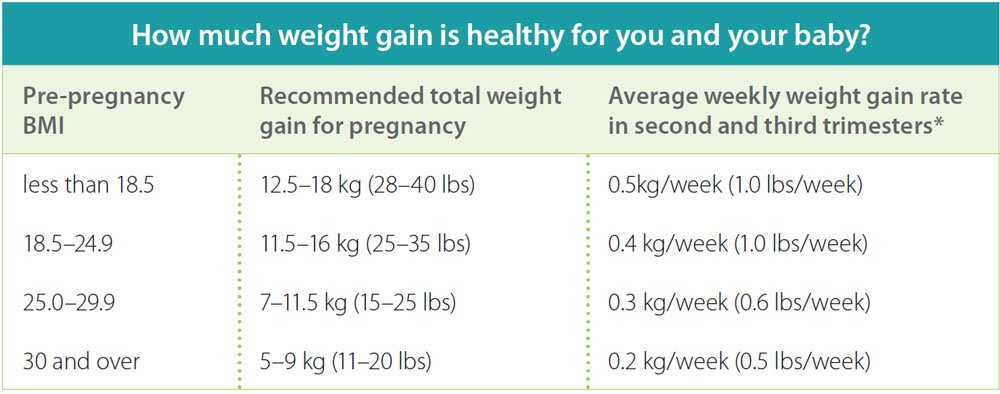 Twin Pregnancy Weight Gain Chart By Week