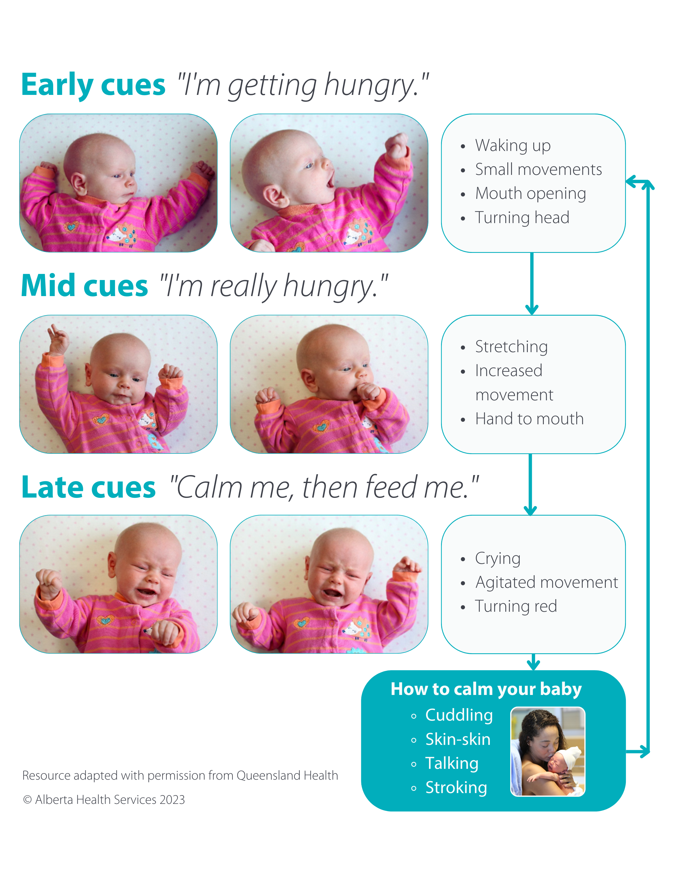 General Infant Feeding Information - Healthy Parents Healthy Children