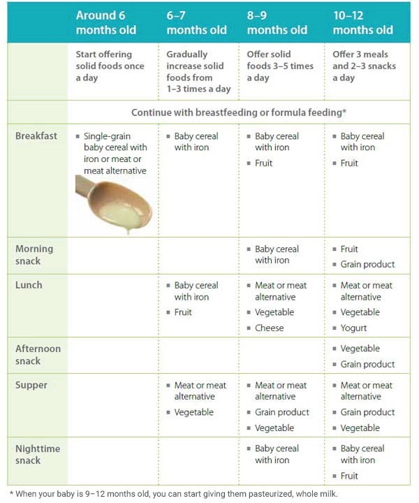 Baby Feeding Essentials for Starting Solids: Weaning 6 Mos.